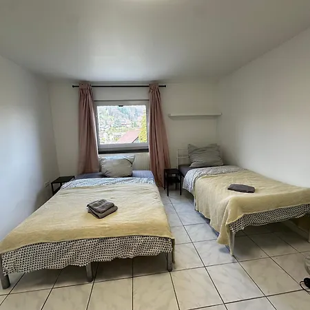Apartment Fuer 2 Monteure In Heppenheim Kirschhausen *
